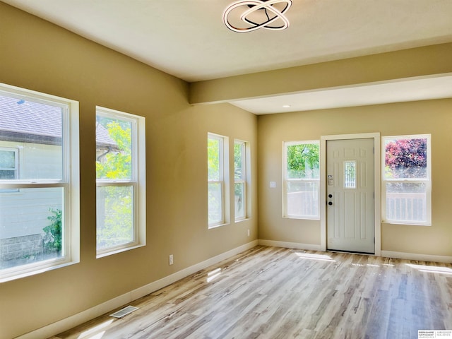 6916 N 24th St, Omaha, NE 68112 - foyer entrance featuring light wood-style flooring, baseboards, and healthy amount of natural light