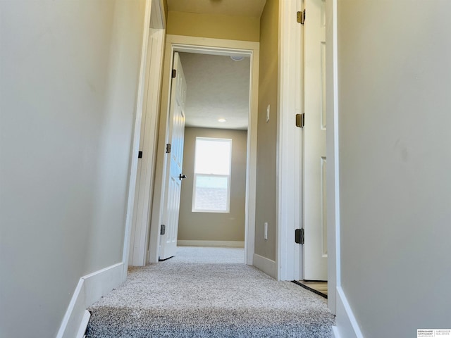 6916 N 24th St, Omaha, NE 68112 - corridor with carpet floors and baseboards
