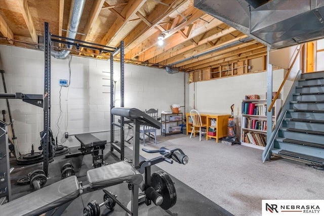 926 Iron Rd, Papillion, NE 68046 - exercise room featuring concrete block wall