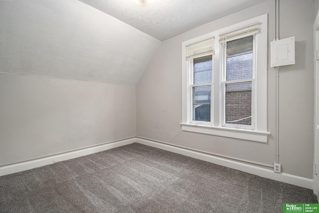 1320 N 40th St, Omaha, NE 68131 - additional living space with carpet flooring, vaulted ceiling, baseboards, and a textured ceiling