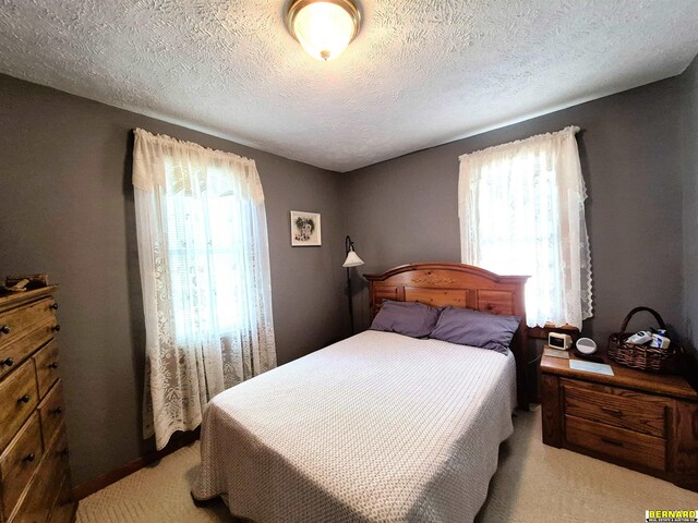 1112 10th St, Auburn, NE 68305 - bedroom with light carpet, multiple windows, and a textured ceiling