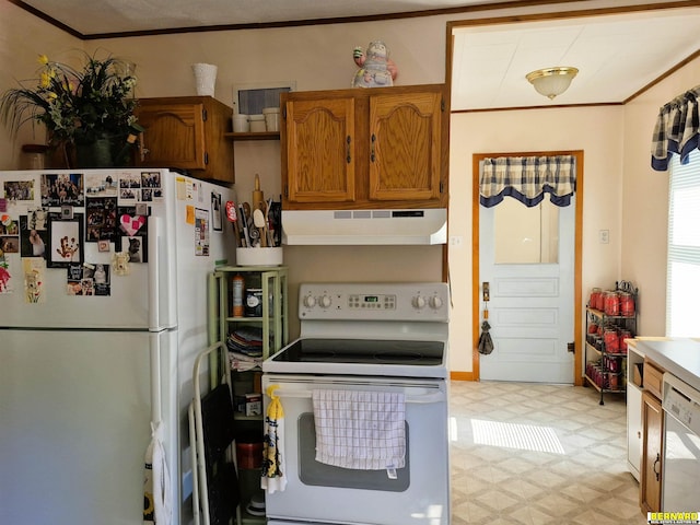 1112 10th St, Auburn, NE 68305 - kitchen featuring white appliances, under cabinet range hood, light flooring, ornamental molding, and brown cabinets