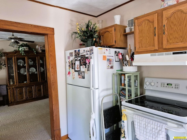 1112 10th St, Auburn, NE 68305 - kitchen featuring white appliances, under cabinet range hood, ceiling fan, ornamental molding, and brown cabinets