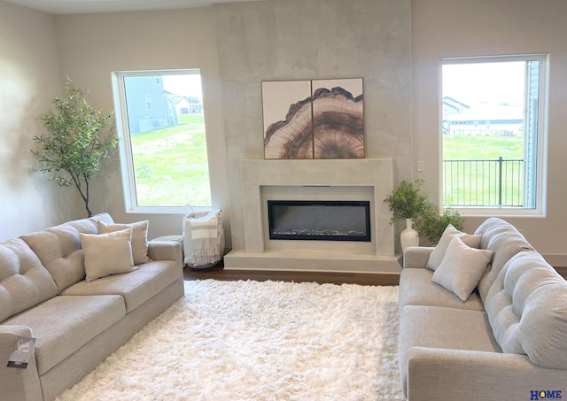 900 Middleton Ave, Lincoln, NE 68521 - living area with wood finished floors and a glass covered fireplace
