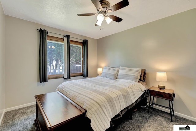 1206 W Ryons St, Lincoln, NE 68522 - bedroom with baseboards, dark colored carpet, and a ceiling fan