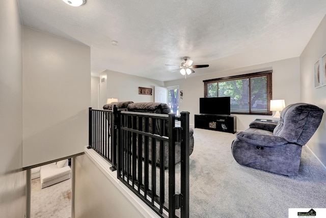 1206 W Ryons St, Lincoln, NE 68522 - carpeted living area with a ceiling fan and a textured ceiling