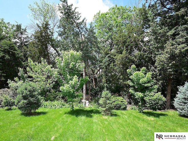 1853 SW 38th St, Lincoln, NE 68522 - view of yard
