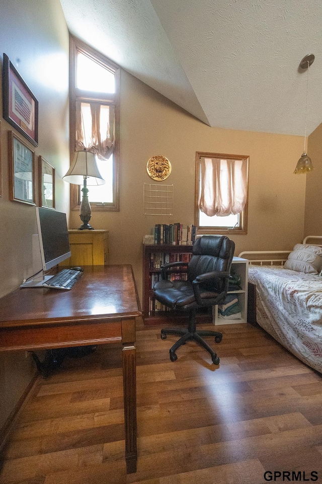 10755 Berry Plz, Omaha, NE 68127 - home office featuring vaulted ceiling, wood finished floors, and a textured ceiling