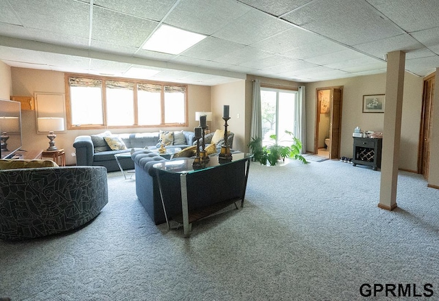 10755 Berry Plz, Omaha, NE 68127 - living area featuring carpet, healthy amount of natural light, and a paneled ceiling