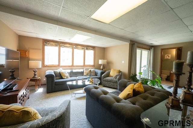 10755 Berry Plz, Omaha, NE 68127 - living area featuring carpet floors and a drop ceiling