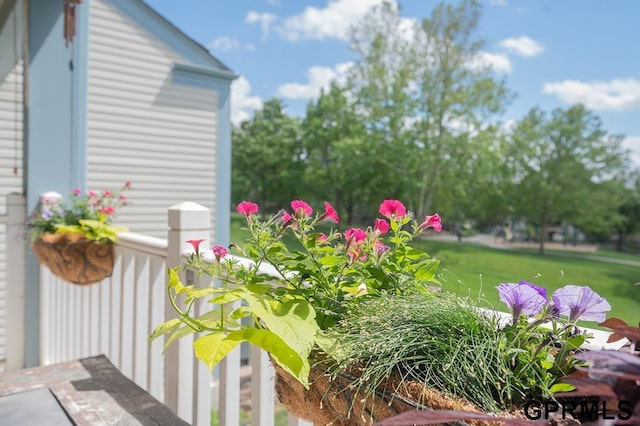 10755 Berry Plz, Omaha, NE 68127 - view of yard