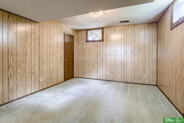 3209 Coffey Ave, Omaha, NE 68123 - below grade area with a textured ceiling, plenty of natural light, wooden walls, and carpet