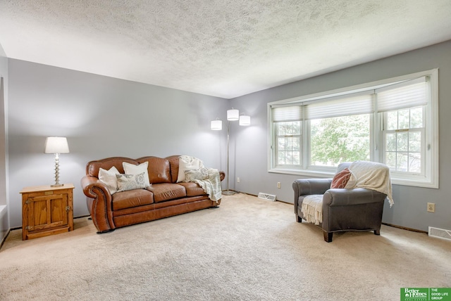 3209 Coffey Ave, Omaha, NE 68123 - living room featuring carpet floors, a textured ceiling, and baseboards