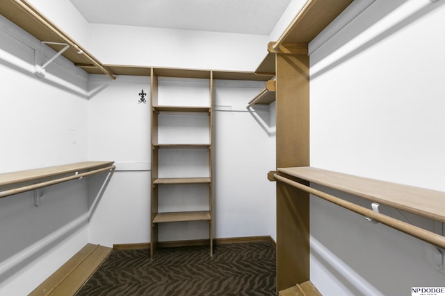 910 W Centennial Rd, Papillion, NE 68046 - view of walk in closet