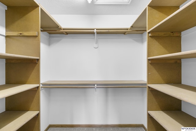910 W Centennial Rd, Papillion, NE 68046 - view of spacious closet