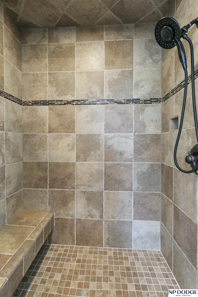 910 W Centennial Rd, Papillion, NE 68046 - full bath featuring a tile shower