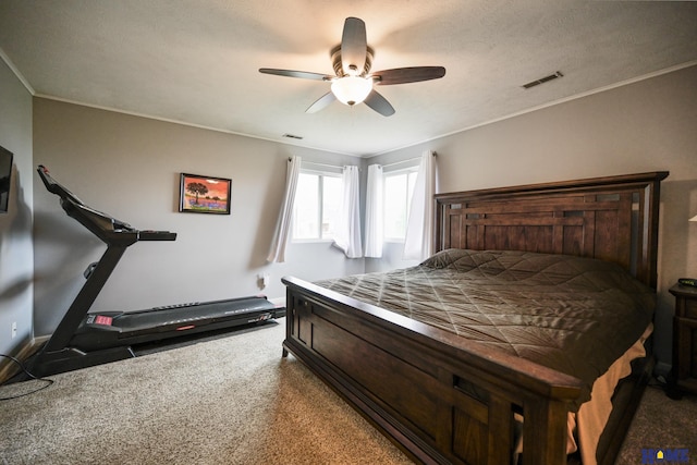7348 N 19th St, Lincoln, NE 68521 - bedroom with carpet floors, baseboards, a ceiling fan, and crown molding