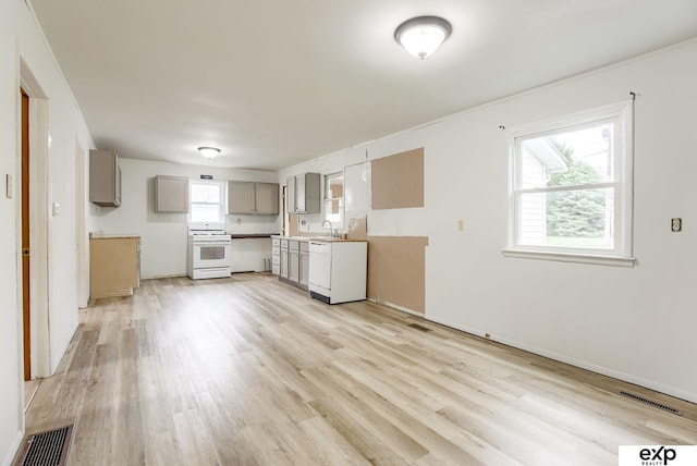 101 Station St, Shelby, IA 51570 - kitchen with white appliances, gray cabinetry, a sink, light wood finished floors, and plenty of natural light
