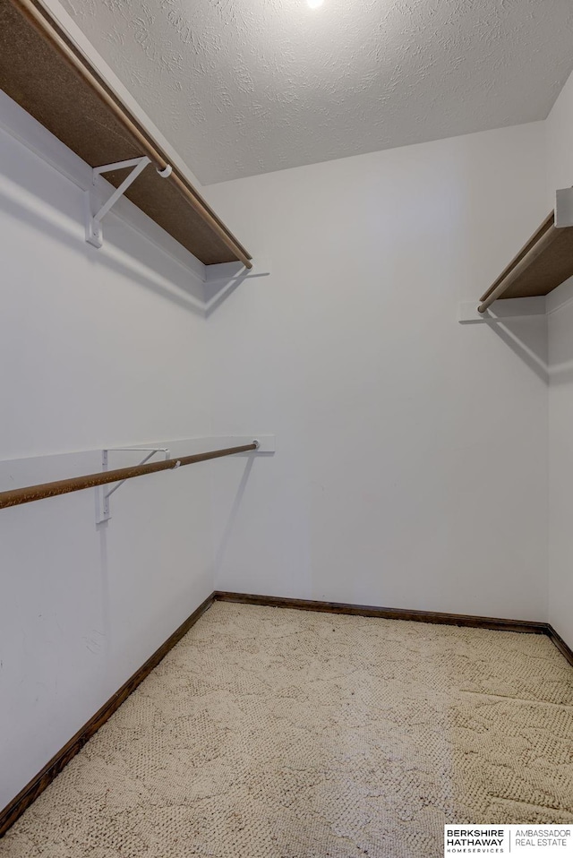 1905 S 116th St, Omaha, NE 68144 - walk in closet featuring carpet floors