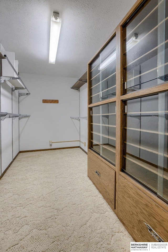1905 S 116th St, Omaha, NE 68144 - spacious closet with carpet