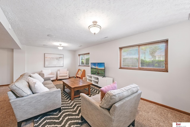 12231 Binney St, Omaha, NE 68164 - carpeted living area featuring baseboards and a textured ceiling