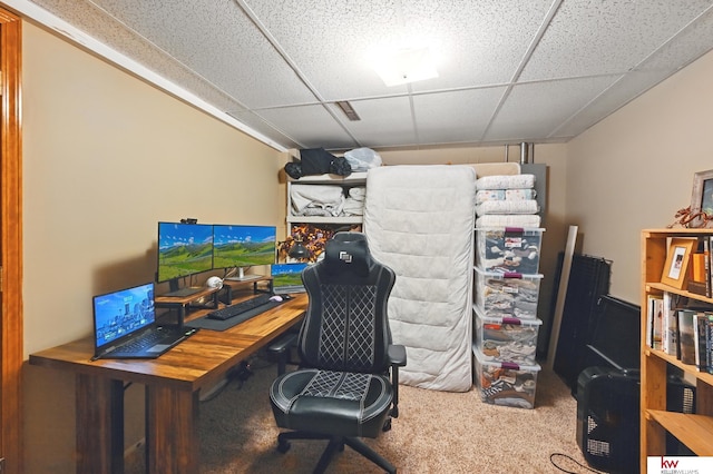 12231 Binney St, Omaha, NE 68164 - home office with carpet and a paneled ceiling