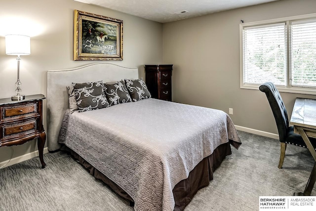 3334 S 188th Ave, Omaha, NE 68130 - bedroom with carpet and baseboards