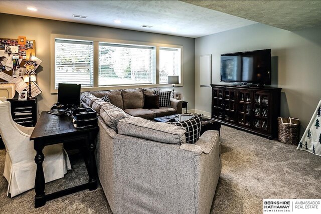 3334 S 188th Ave, Omaha, NE 68130 - living room with carpet flooring, recessed lighting, baseboards, and a textured ceiling