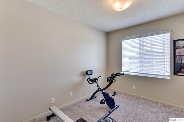 6704 N 149th Ave, Omaha, NE 68116 - exercise room featuring carpet, baseboards, and a textured ceiling
