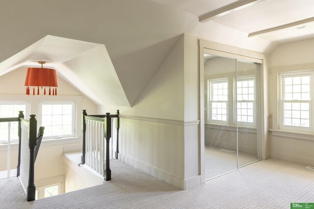 5147 Davenport St, Omaha, NE 68132 - bonus room featuring carpet and lofted ceiling