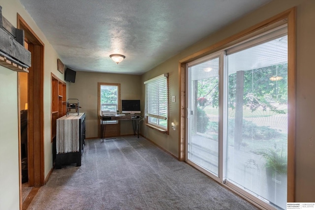 605 2nd St, Waterloo, NE 68069 - kitchen with carpet flooring, baseboards, and a textured ceiling