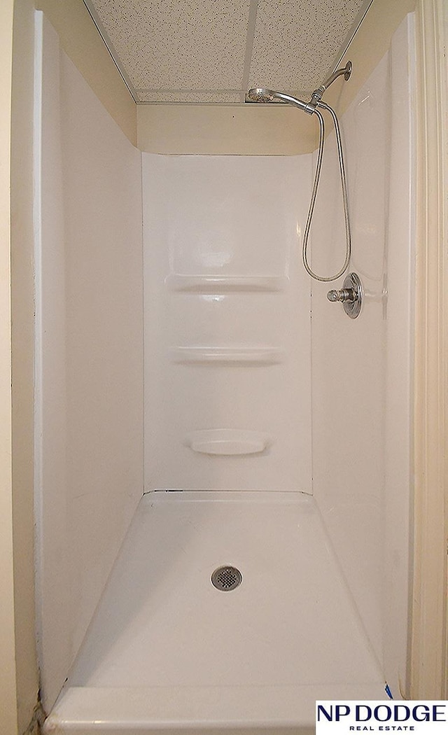 12067 Patrick Ave, Omaha, NE 68164 - bathroom featuring a shower
