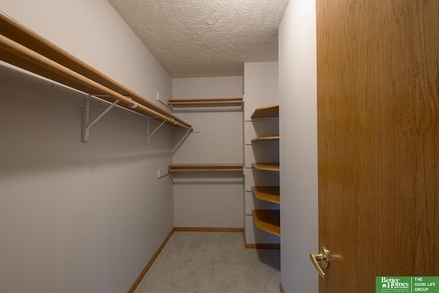 17139 S St, Omaha, NE 68135 - walk in closet featuring carpet floors