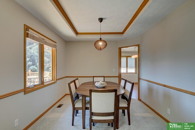 17139 S St, Omaha, NE 68135 - dining room featuring healthy amount of natural light, light carpet, baseboards, and a tray ceiling
