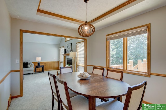 17139 S St, Omaha, NE 68135 - dining area featuring wainscoting, a fireplace, carpet, a tray ceiling, and a textured ceiling