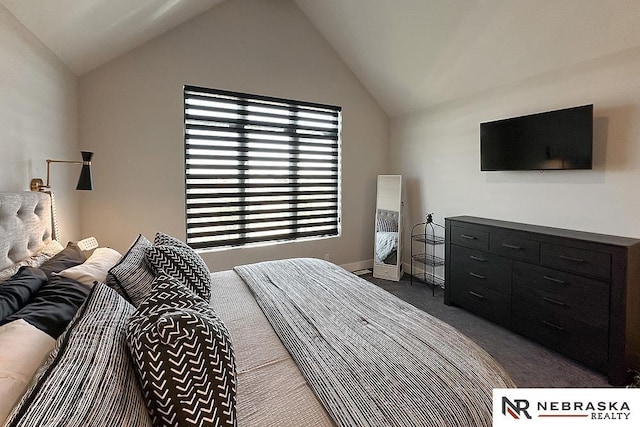 11473 S 189th St, Gretna, NE 68028 - bedroom with vaulted ceiling, dark carpet, and baseboards