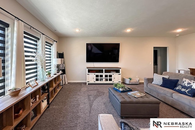 11473 S 189th St, Gretna, NE 68028 - living area with carpet floors, baseboards, recessed lighting, and a textured ceiling