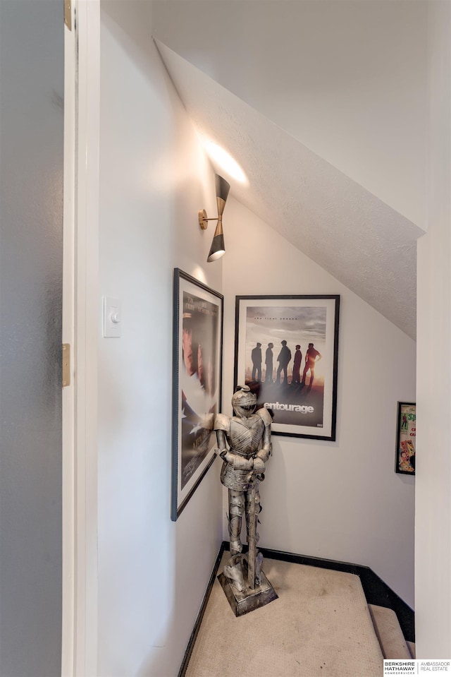 3814 S 186th Ave, Omaha, NE 68130 - detailed view of carpet floors and baseboards