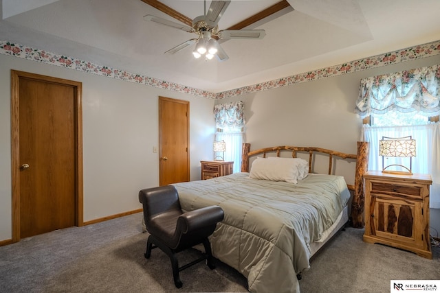 9910 Ohio St, Omaha, NE 68134 - carpeted bedroom with baseboards and a ceiling fan