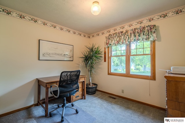 9910 Ohio St, Omaha, NE 68134 - carpeted office featuring baseboards