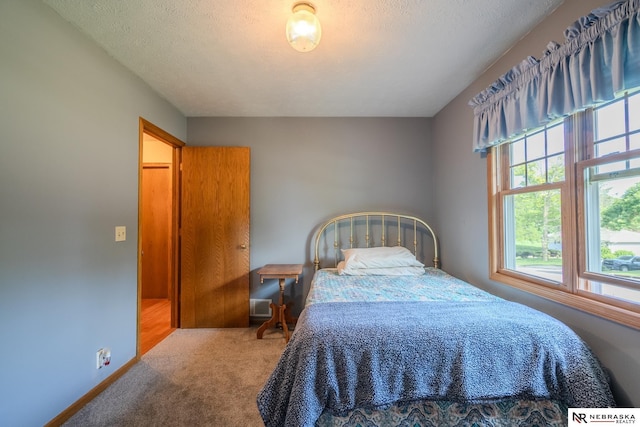 9910 Ohio St, Omaha, NE 68134 - bedroom with carpet floors and a textured ceiling