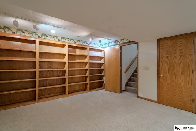 9910 Ohio St, Omaha, NE 68134 - finished basement featuring stairs, rail lighting, and carpet floors