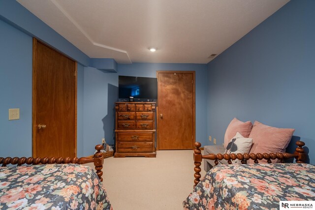 9910 Ohio St, Omaha, NE 68134 - view of carpeted bedroom