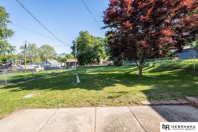 4542 Charles St, Omaha, NE 68132 - view of yard