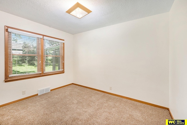 1341 Wilbur St, Blair, NE 68008 - carpeted empty room with baseboards and a textured ceiling