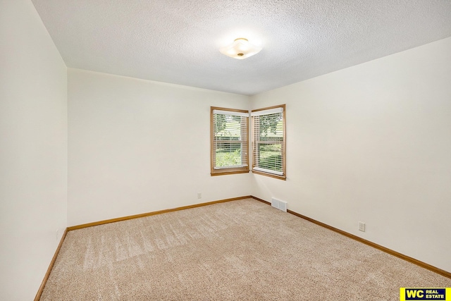 1341 Wilbur St, Blair, NE 68008 - spare room with light carpet, baseboards, and a textured ceiling