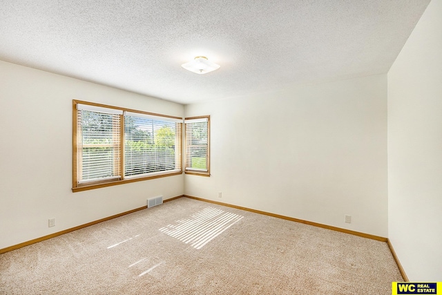 1341 Wilbur St, Blair, NE 68008 - spare room with light carpet, baseboards, and a textured ceiling