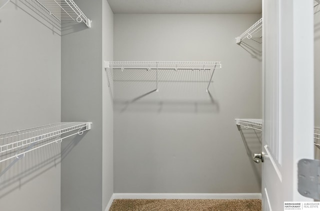 7164 N 167th St, Bennington, NE 68007 - walk in closet with carpet flooring