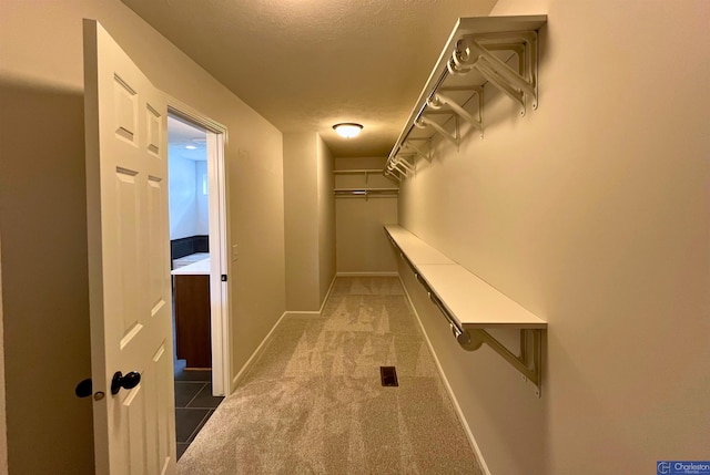 4618 N 212th St, Elkhorn, NE 68022 - walk in closet featuring light colored carpet