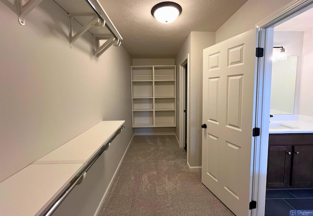 4618 N 212th St, Elkhorn, NE 68022 - spacious closet with dark colored carpet and a sink